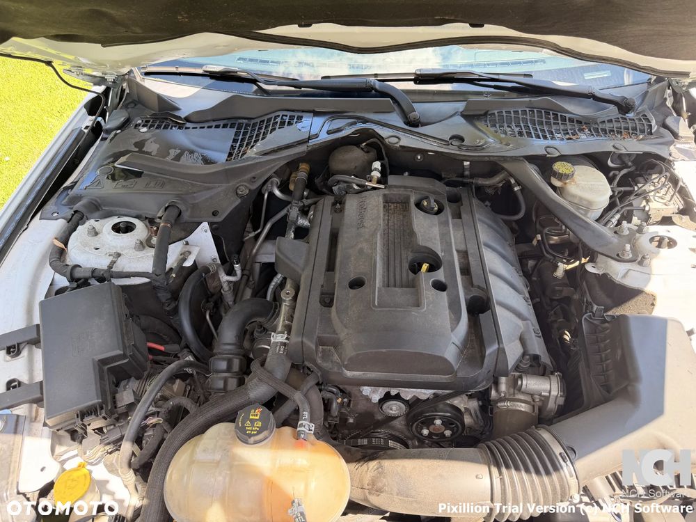 Ford Mustang Cabrio 2.3 Eco Boost - 16
