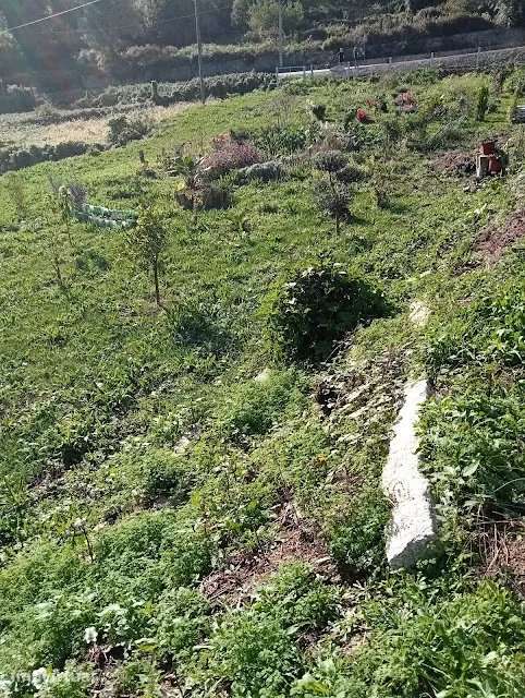 Terreno para Construção em Arcos de Valdevez - Grande imagem: 4/17