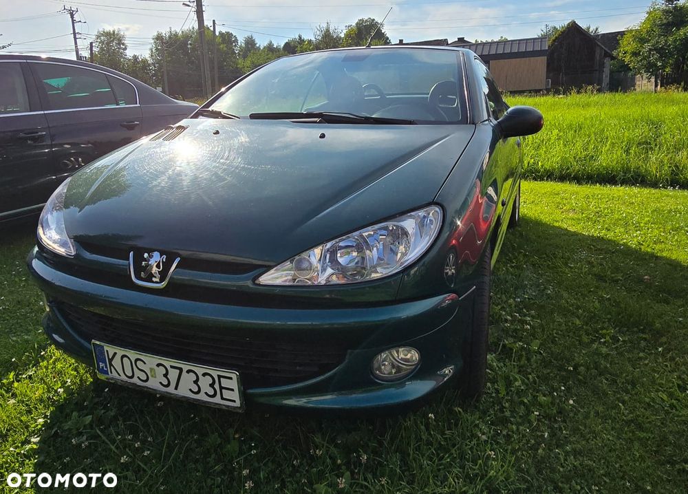 Peugeot 206 - 8