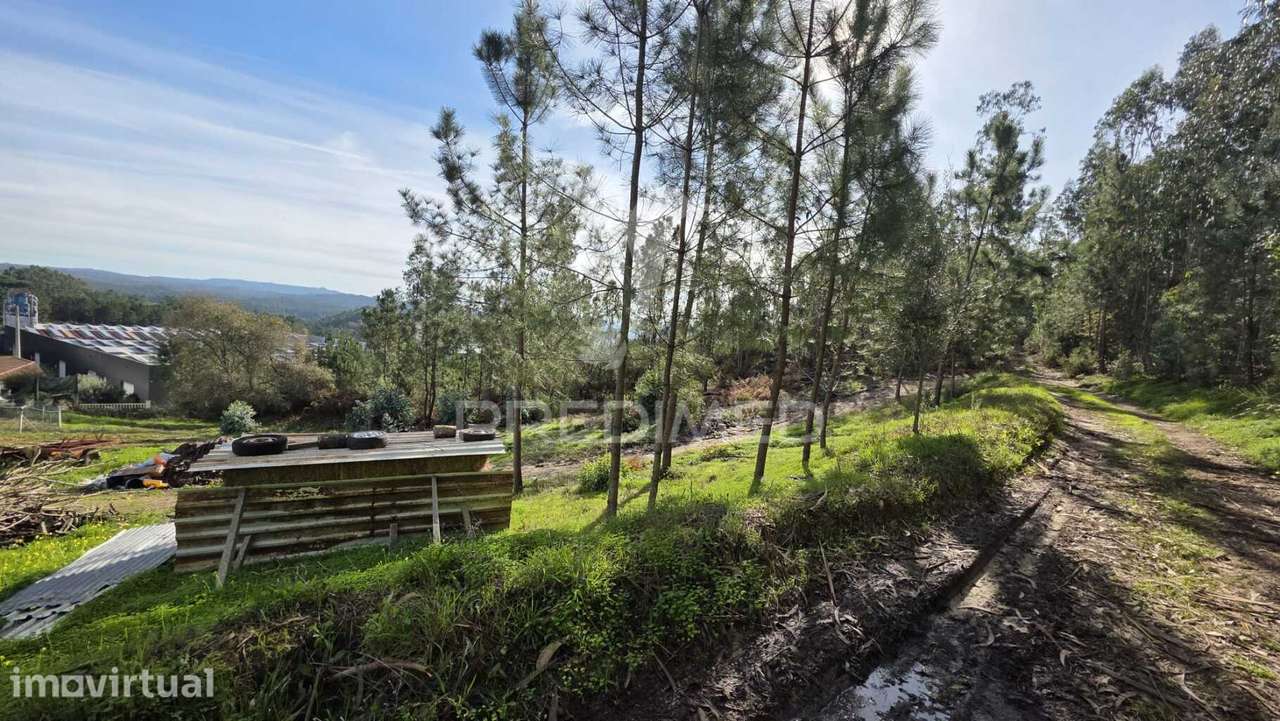 Terreno Urbano para Construção – 2.040 m² – Longra, Freguesia da Ca... - Grande imagem: 4/29