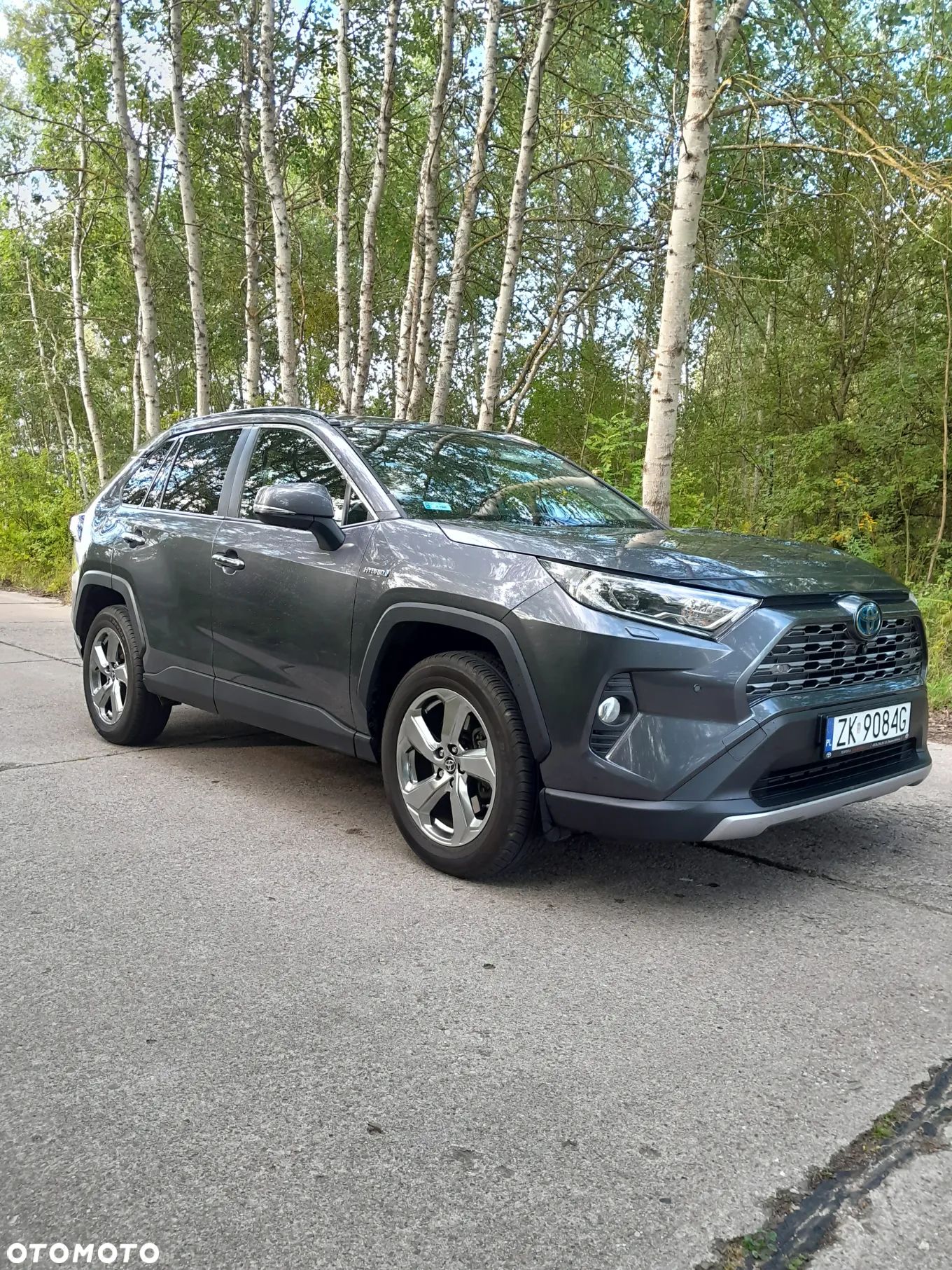 Toyota RAV4 2.5 Hybrid Executive 4x4 - 1