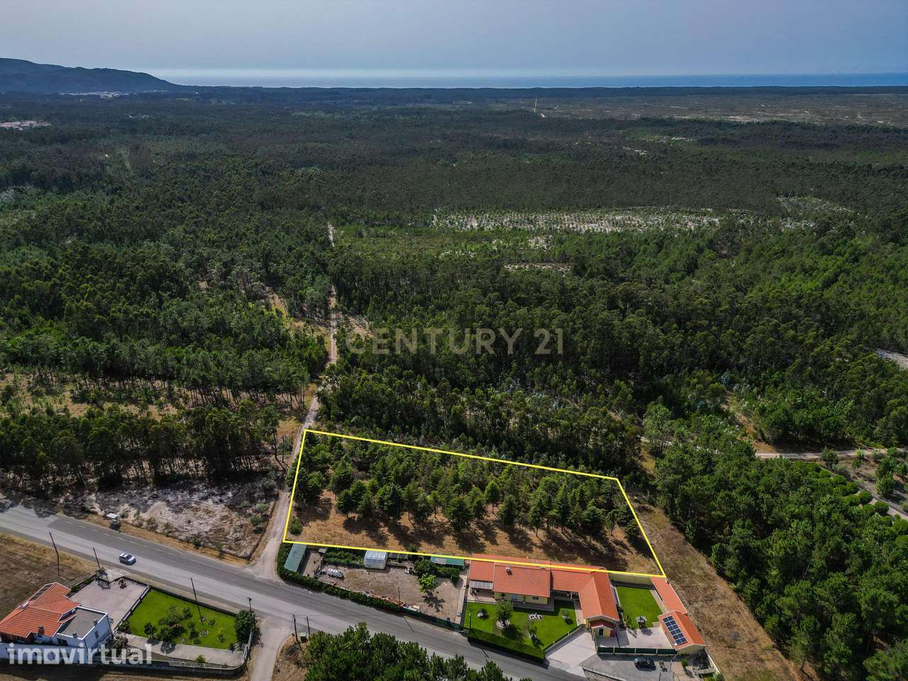 Terreno com cerca de 3.300 m² em zona de pinhal, em Casal Novo, Quiaio - Grande imagem: 4/12