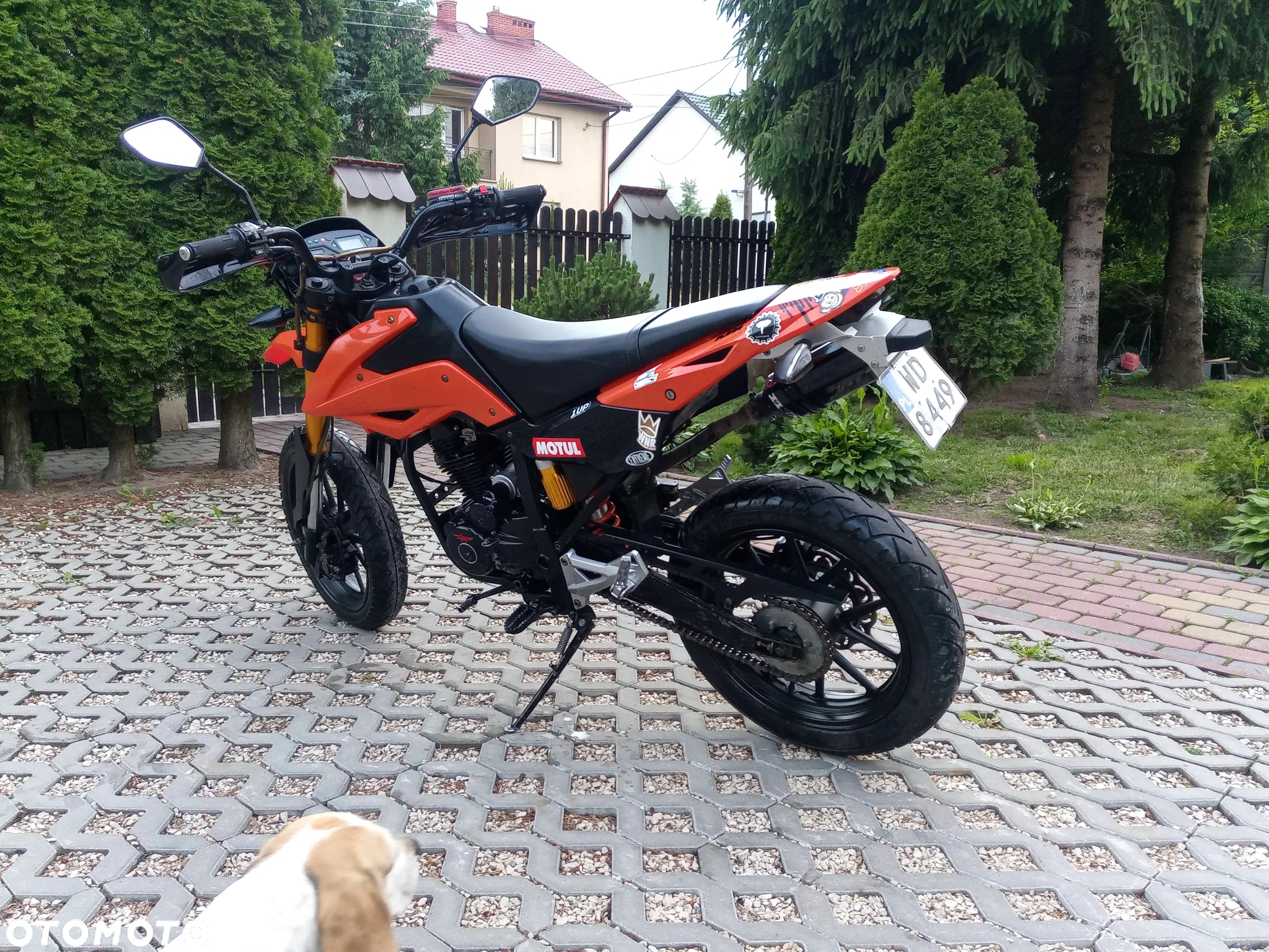 Zipp Inny - 4