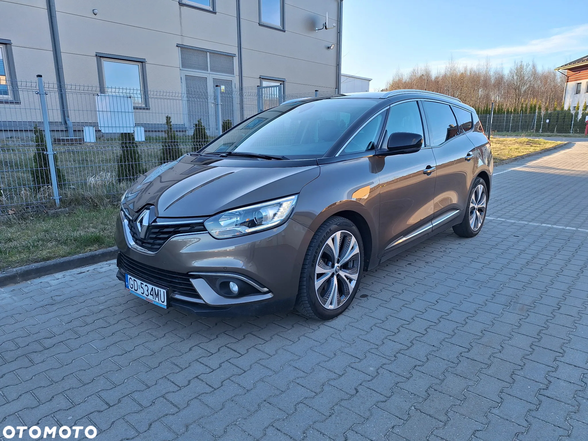 Renault Scenic 1.2 TCe Energy Limited - 33