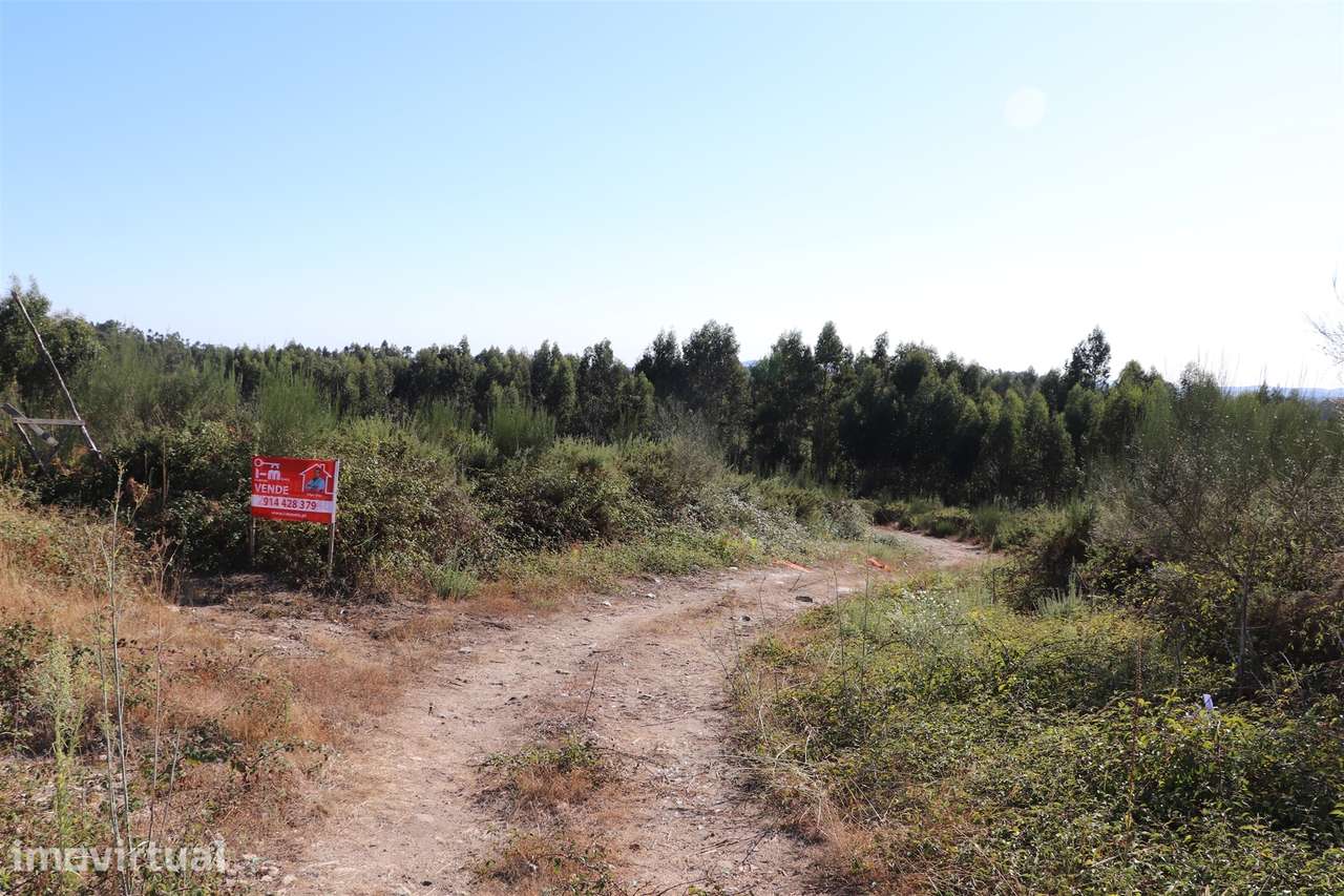 Lote de Terreno  Venda em Lustosa e Barrosas (Santo Estêvão),Lousada - Grande imagem: 3/6