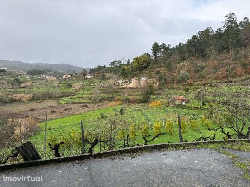 Quinta  6500 m2. - Grande imagem: 3/8