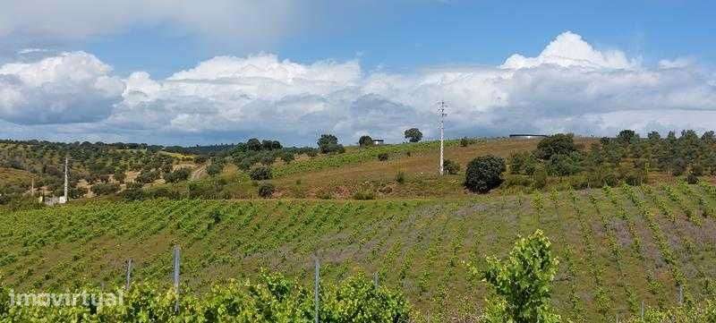 Prédio Misto - Fronteira (área 3,425 HA) - Grande imagem: 2/10