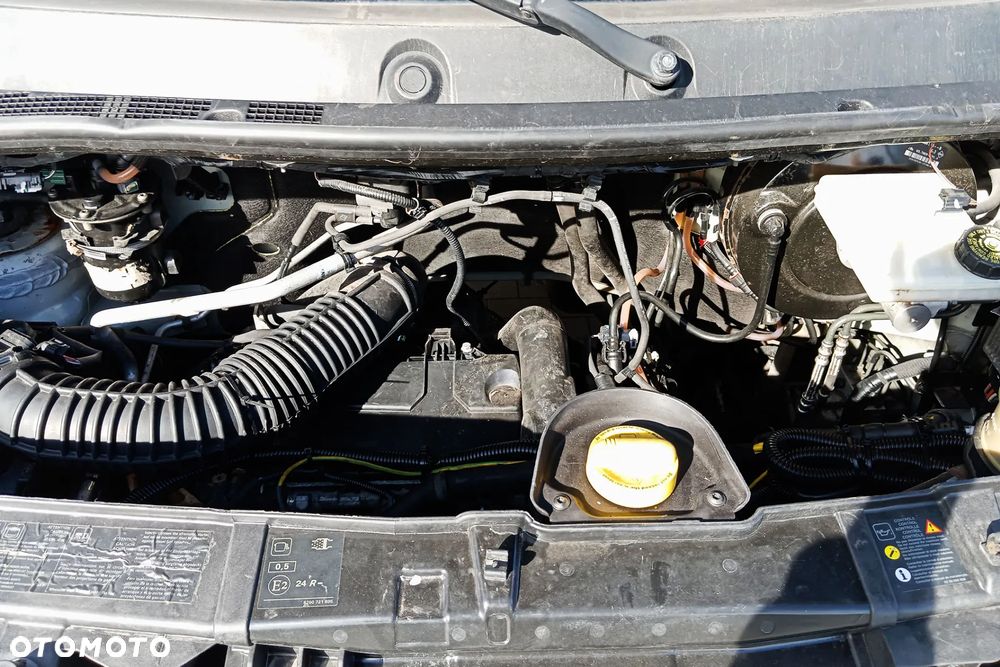 Renault Master III Mroźnia - 38