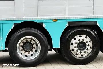 MAN TGX 26.640 D38 6x2 | 3 POZIOMY | TRANSPORT ZWIERZĄT | 640 KM | RETARDER | 2019 - 19