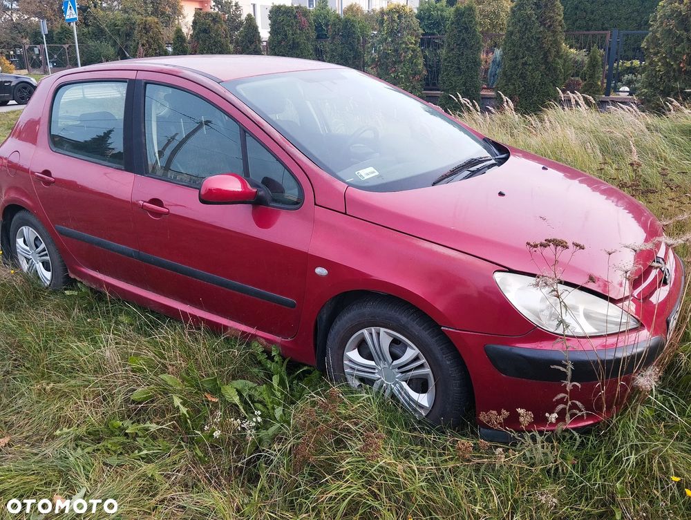 Peugeot 307 1.4 Mistral - 1