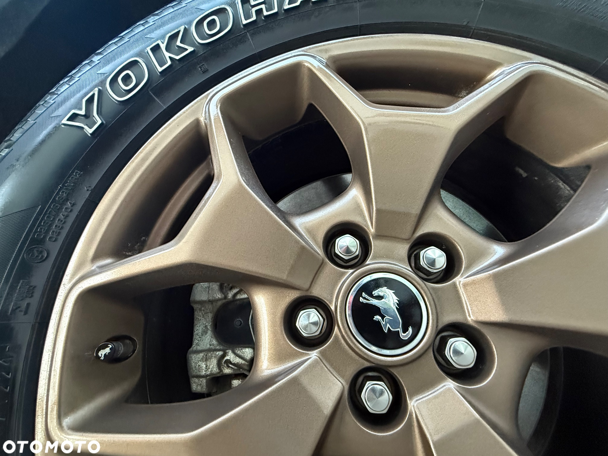 Ford Inny - 13