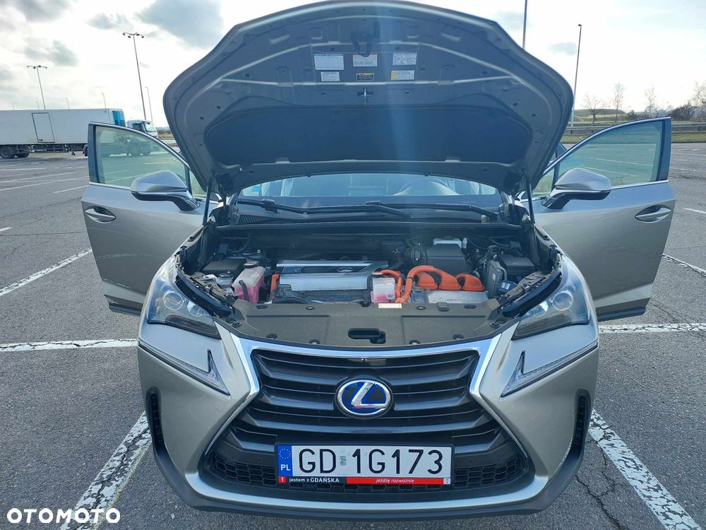 Lexus NX 300h Elite AWD - 9