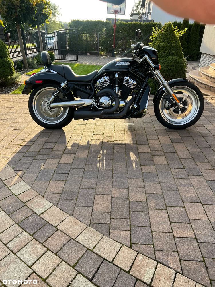 Harley-Davidson V-Rod Street Rod - 2