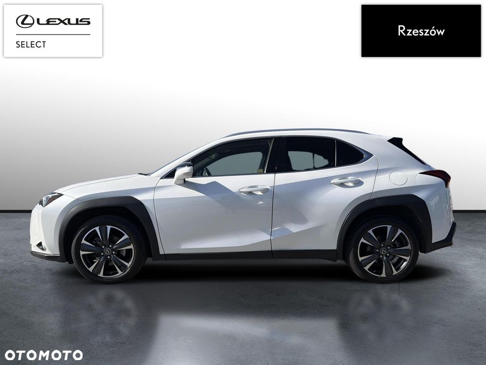 Lexus UX 250h GPF Business 2WD - 2