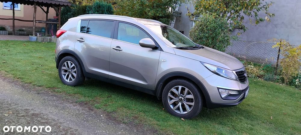 Kia Sportage - 1