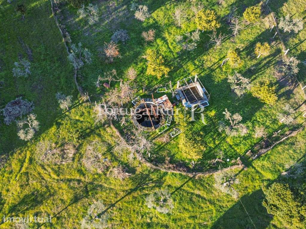 Quinta com 1,47 hectares em Alcains - Grande imagem: 2/39