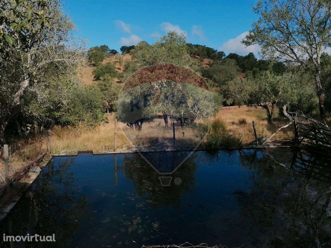 Quinta  para venda - Grande imagem: 5/21