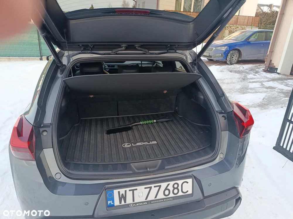 Lexus UX 250h GPF F Sport Edition 2WD - 11