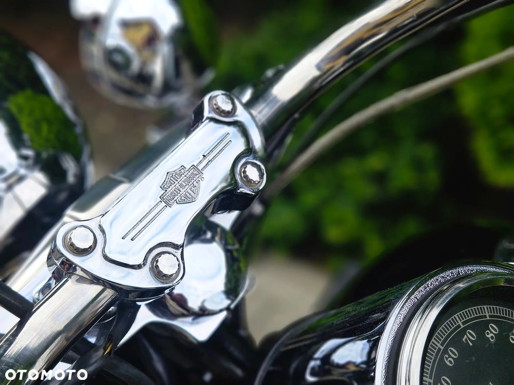 Harley-Davidson Softail Heritage Classic - 11