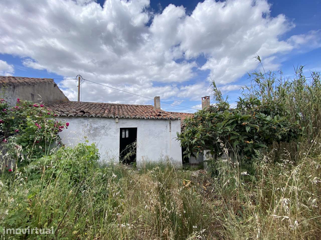 Moradia T4 com Terreno | Póvoa de São Miguel – Moura | Alentejo - Grande imagem: 2/4