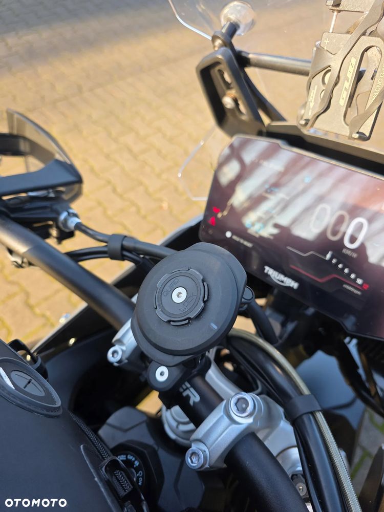 Triumph Tiger - 31
