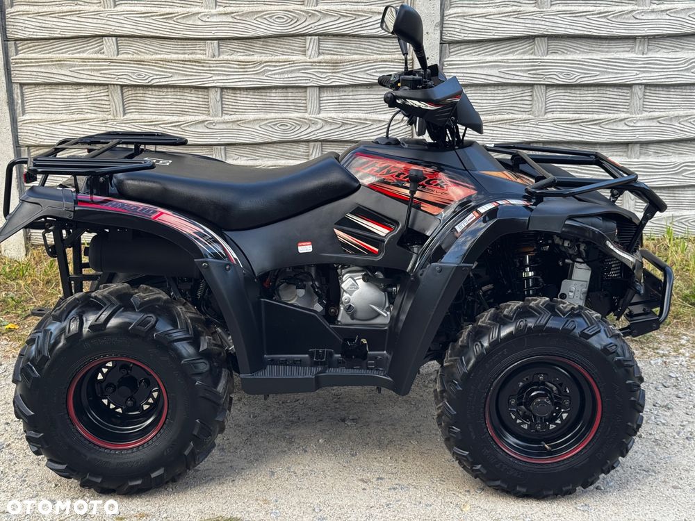 Linhai 300 - 3