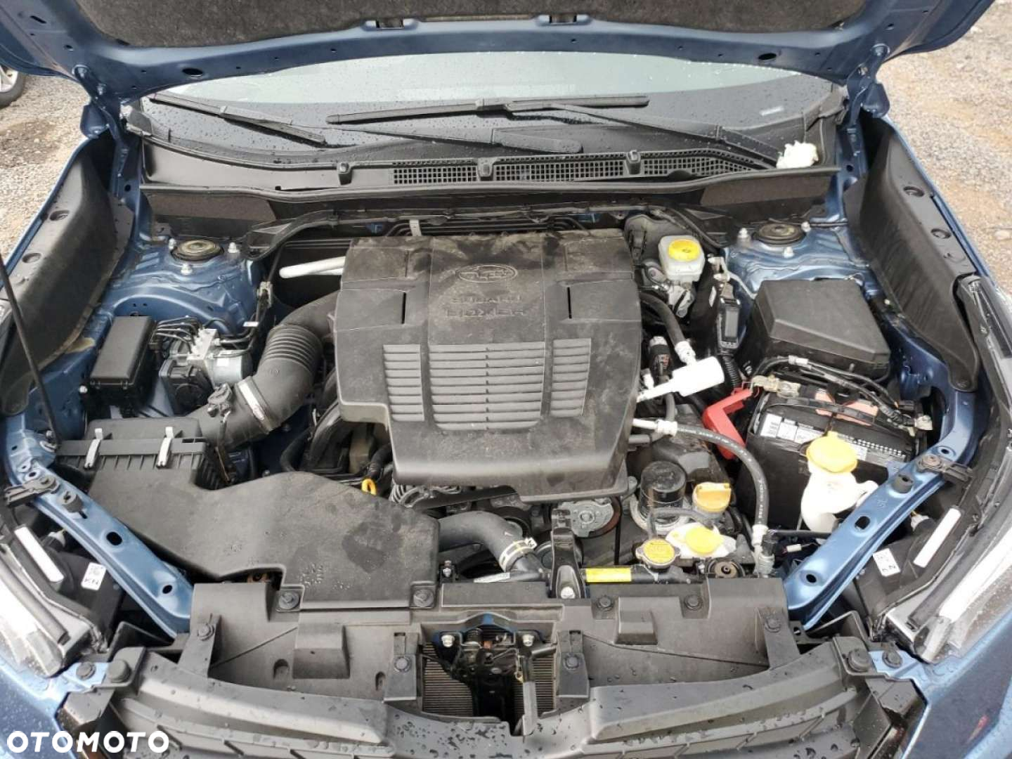 Subaru Forester - 13