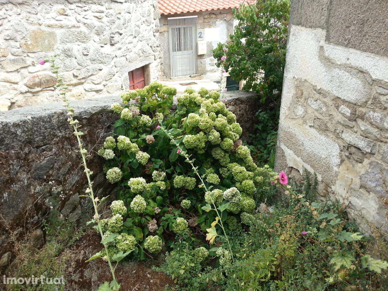 Moradia para restauro em Póvoa de Penela - Grande imagem: 5/7