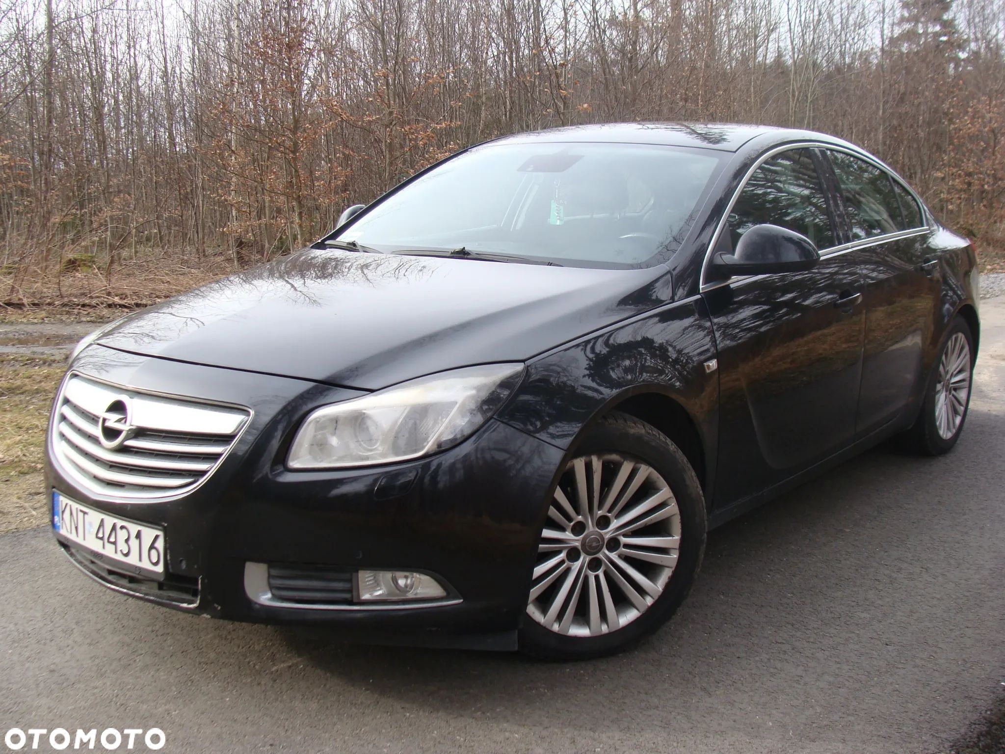 Opel Insignia 2.0 CDTI Cosmo ecoFLEX - 1