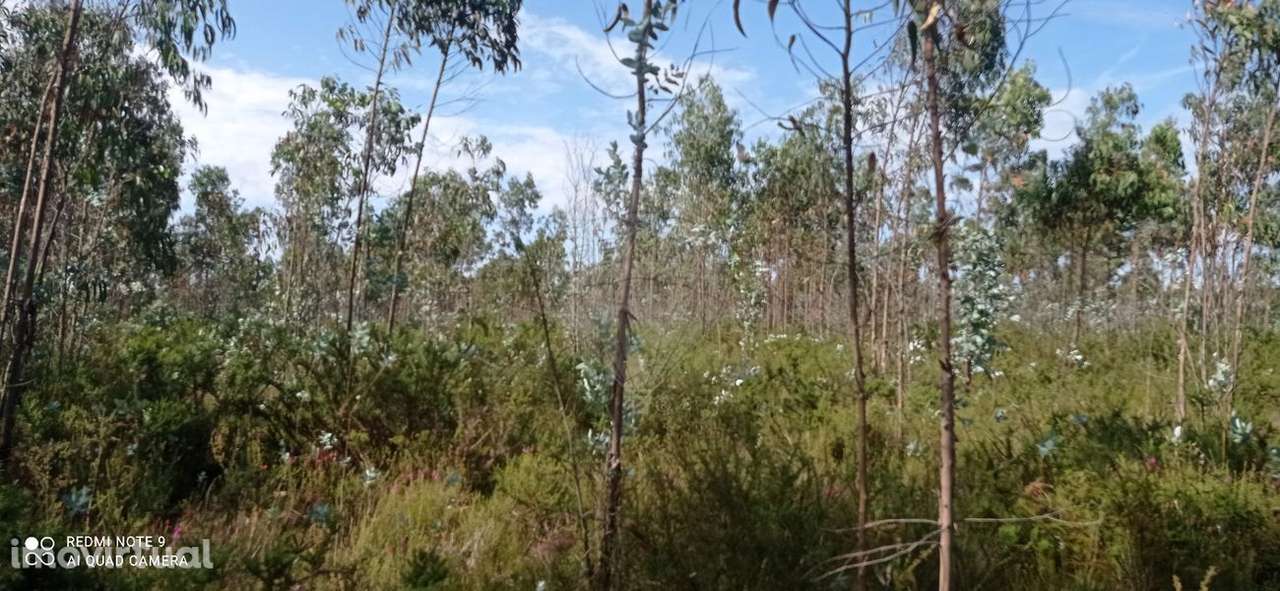 Terreno  para venda - Grande imagem: 2/4