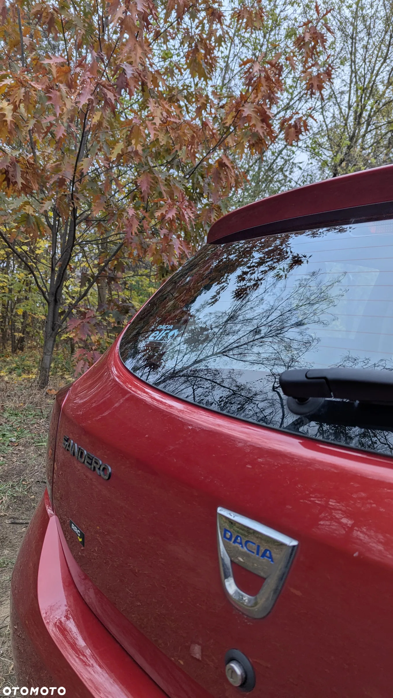 Dacia Sandero Stepway TCe 90 Prestige - 9