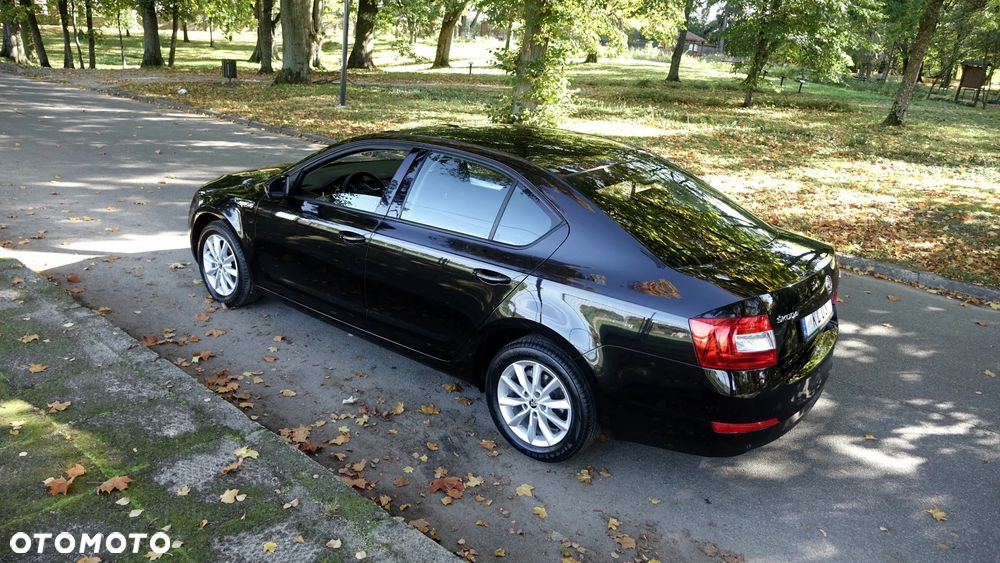 Skoda Octavia - 30