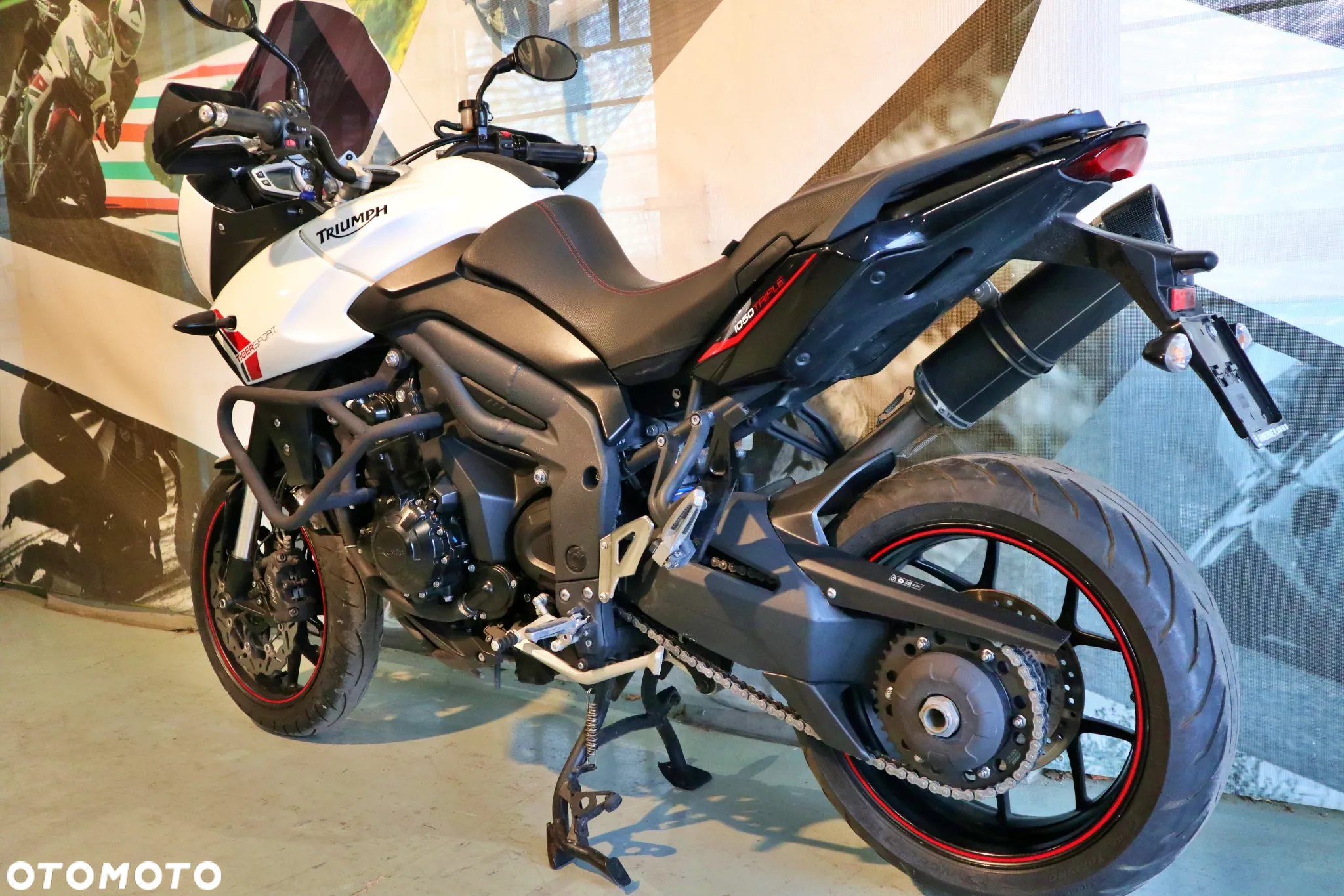 Triumph Tiger - 8