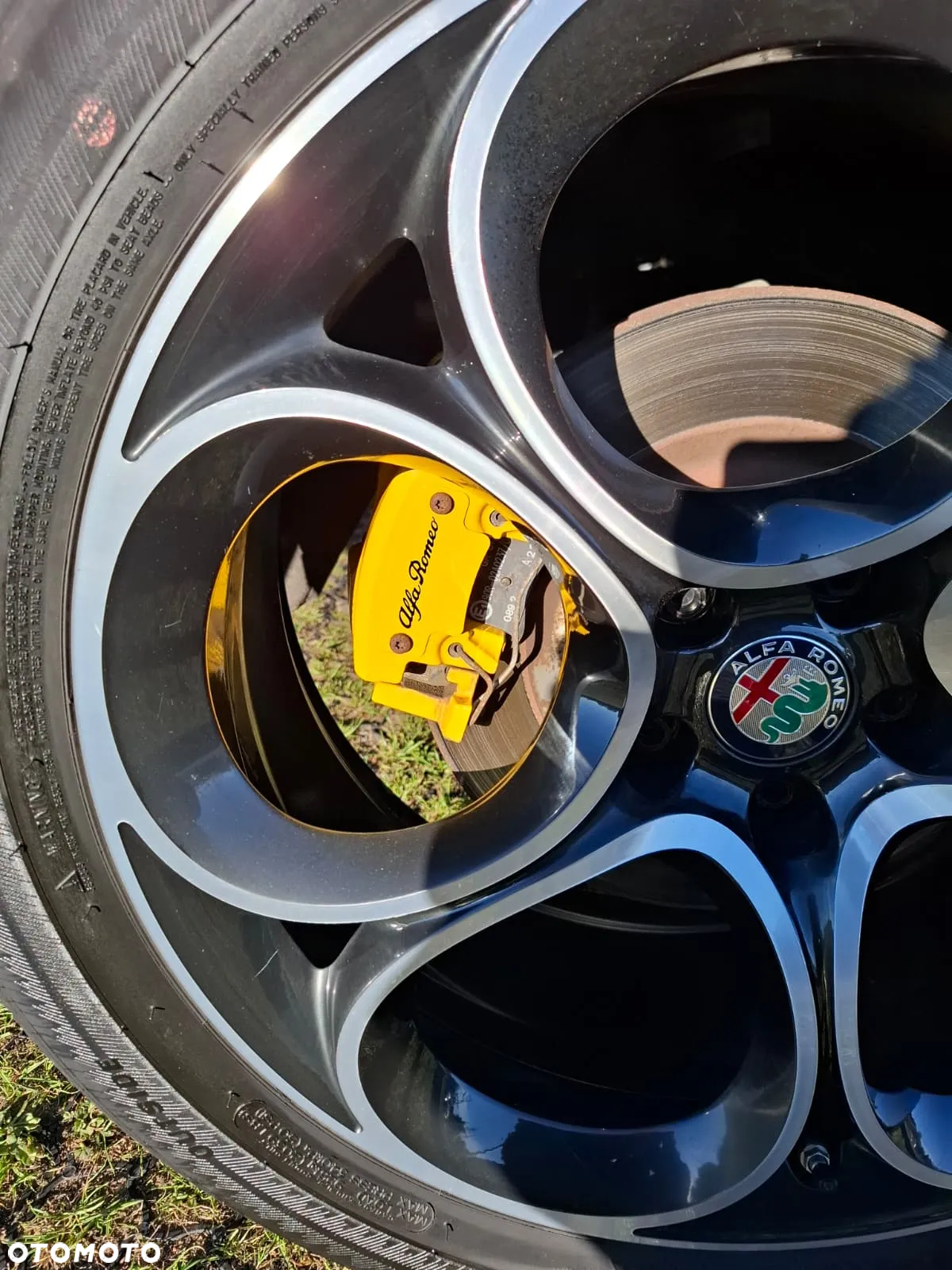 Alfa Romeo Stelvio 2.0 Turbo TI Q4 - 8