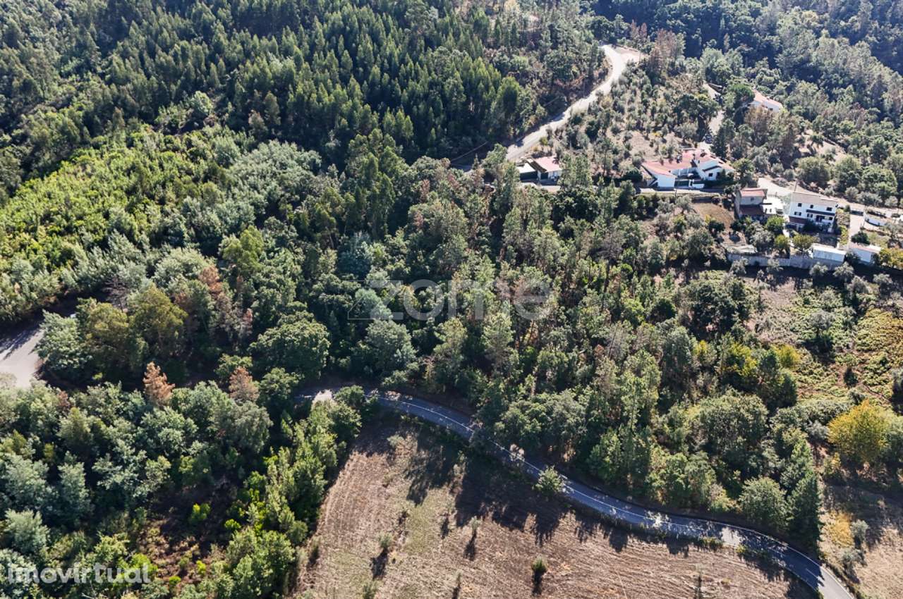 Terreno em Folques, Arganil - Grande imagem: 2/15