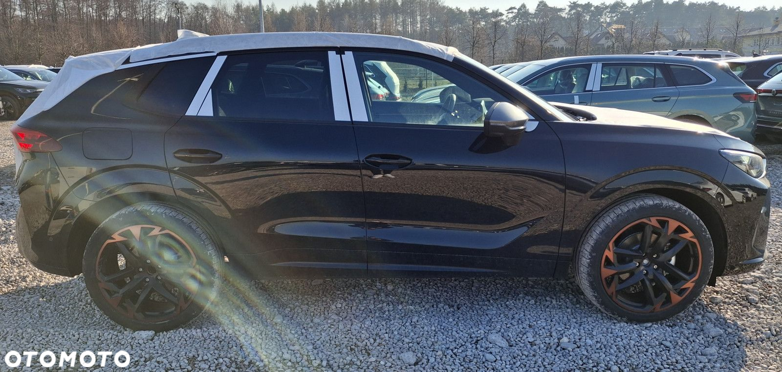 Cupra Terramar - 5