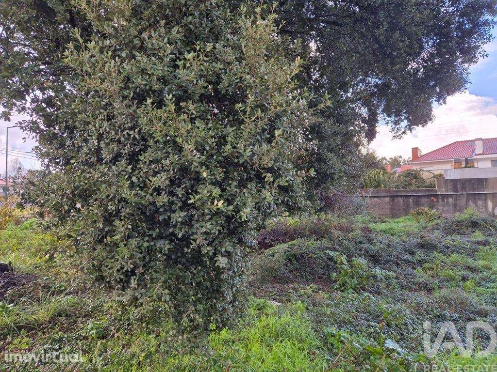 Terreno em Serzedo E Perosinho de 515,00 m2 - Grande imagem: 5/12