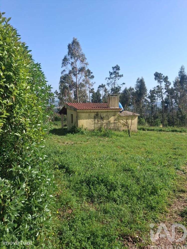 Terreno Agrícola em Alcobaça e Vestiaria - Grande imagem: 2/12
