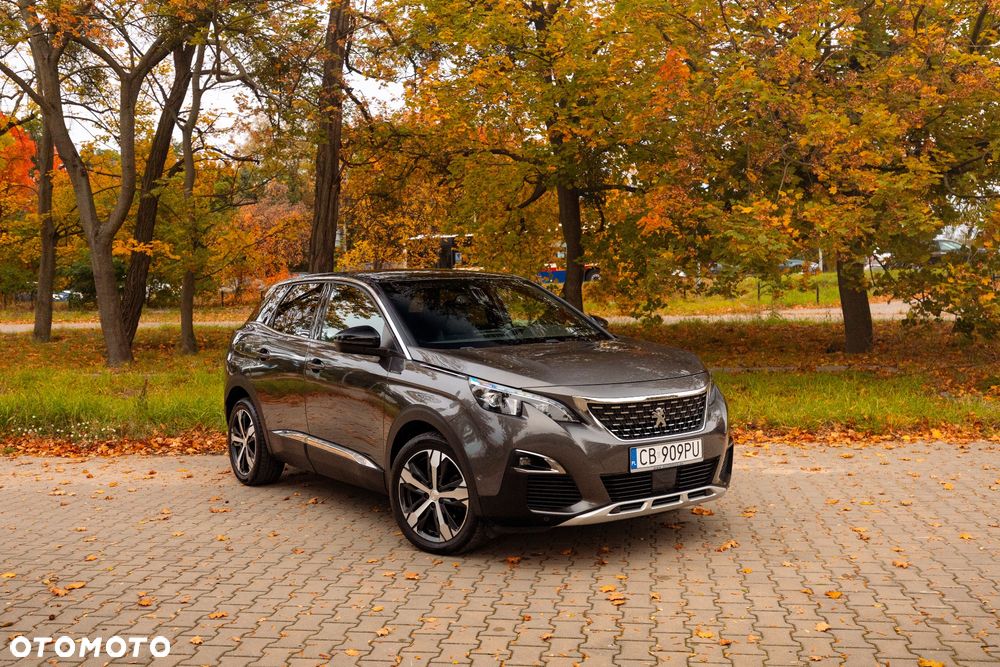 Peugeot 3008 - 10
