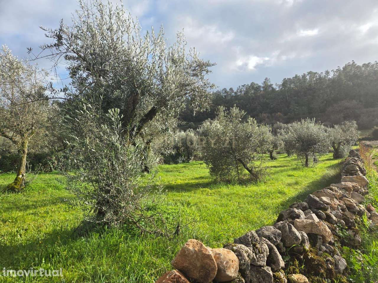 Terreno para construção || Ansião || Casais Da Granja - Grande imagem: 5/18