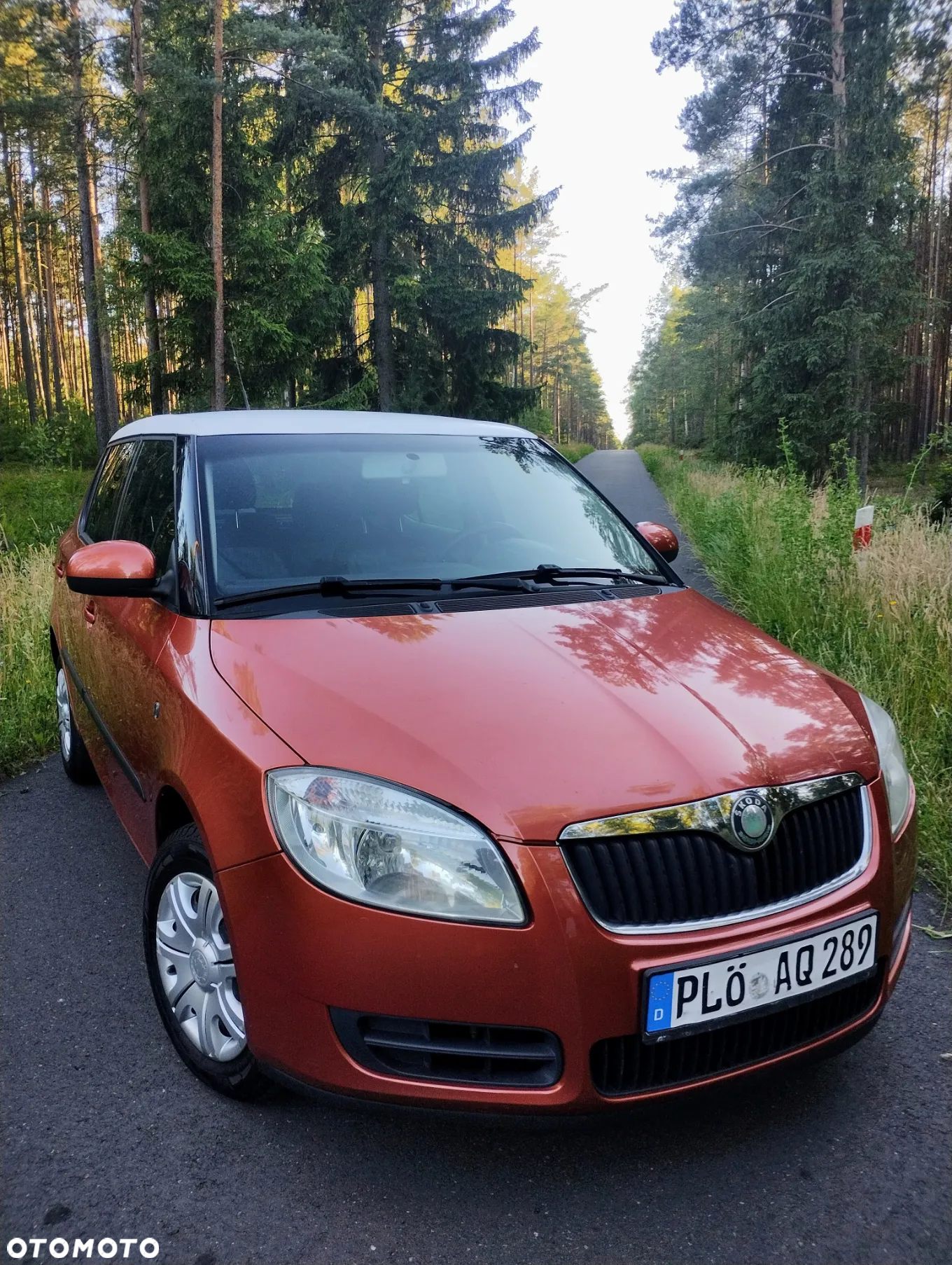 Skoda Fabia - 17