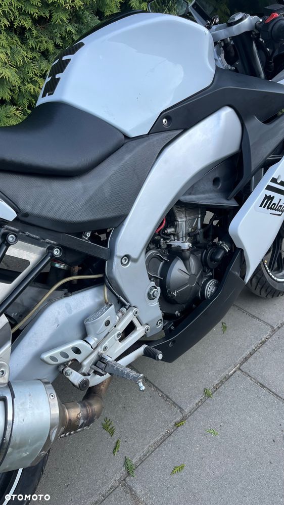 Malaguti RST 125 - 9