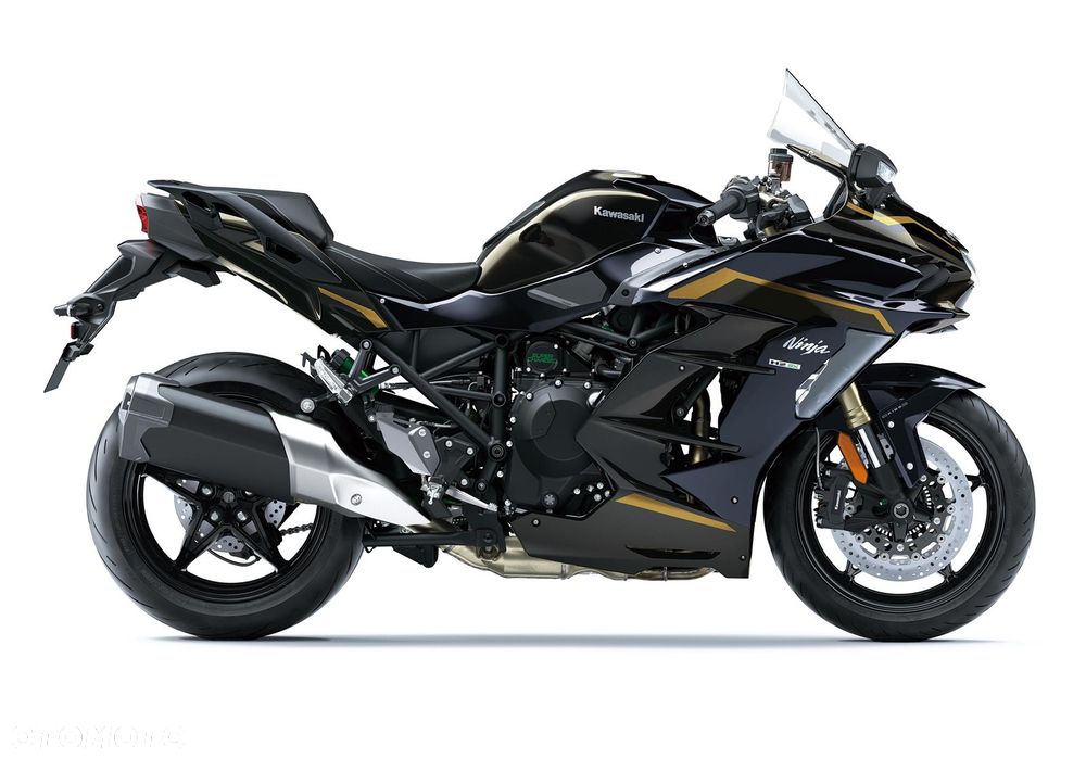 Kawasaki Ninja H2 SX - 3