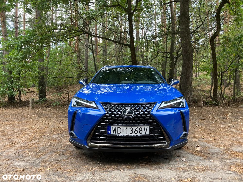 Lexus UX 300h - 1