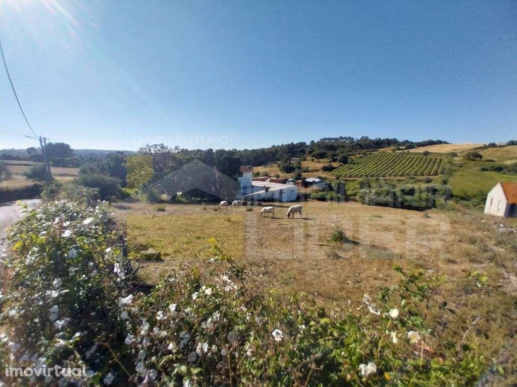Terreno Rústico com 3937m2 na Igreja Nova, Mafra - Grande imagem: 5/9