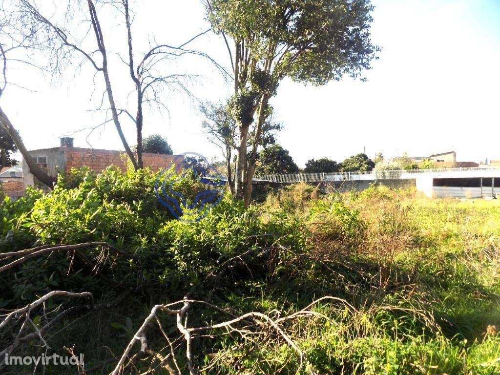 Terreno Plano-Baixa de Preço!-Excelente Oportunidade! - Grande imagem: 3/5