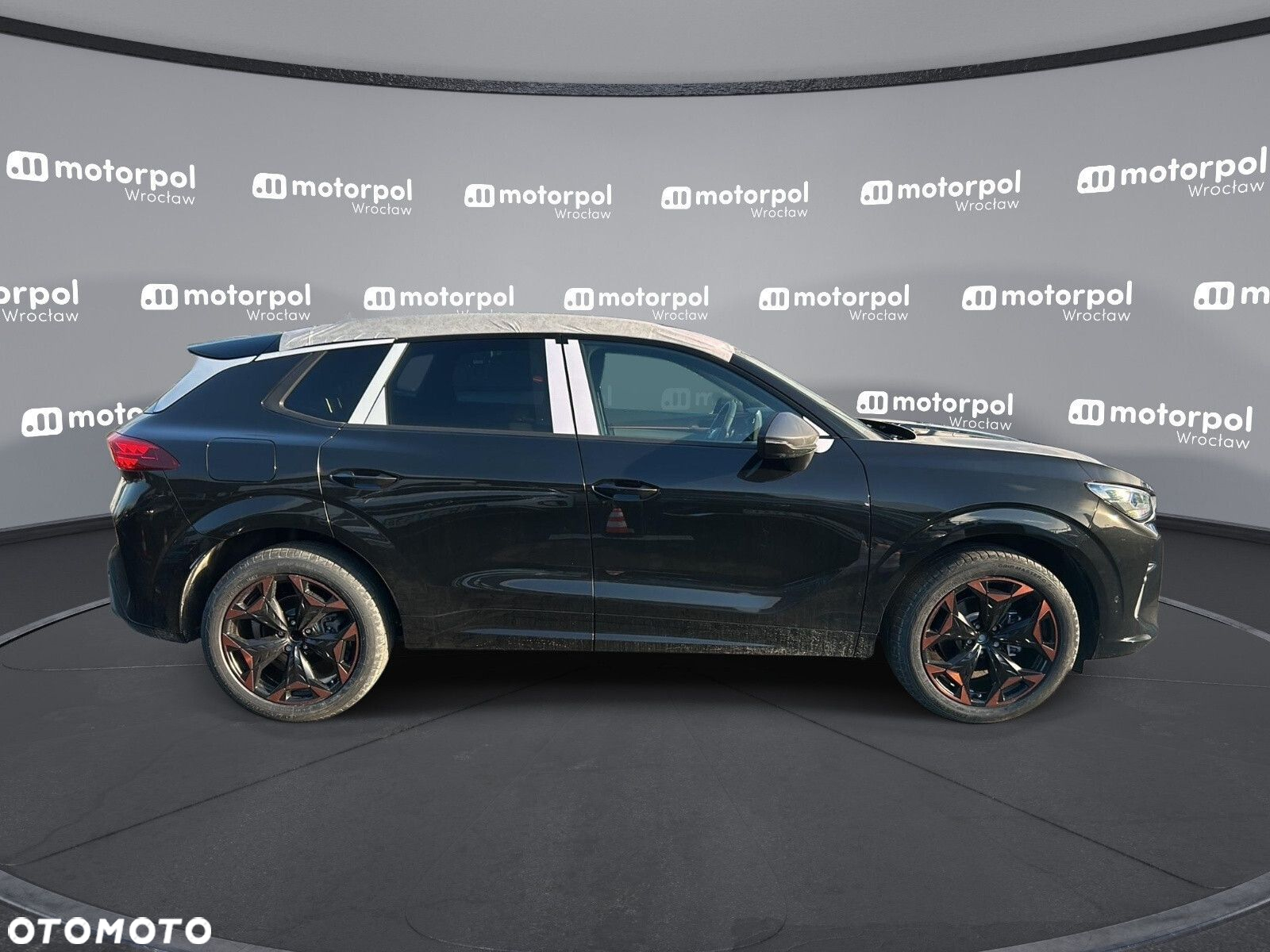 Cupra Terramar - 11