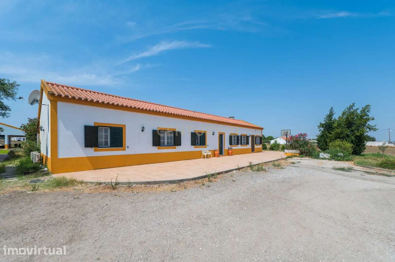 Quinta de Charme com 2,5 Hectares | Moradia Remodelada | Potencial par - Grande imagem: 5/44