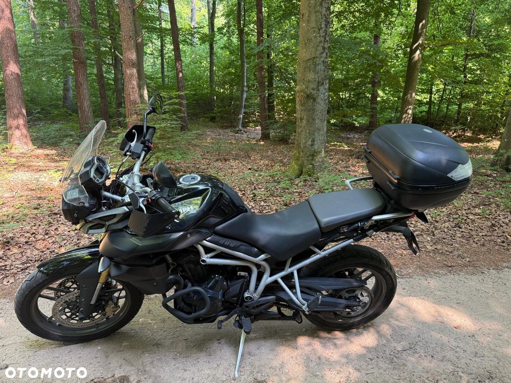 Triumph Tiger - 2