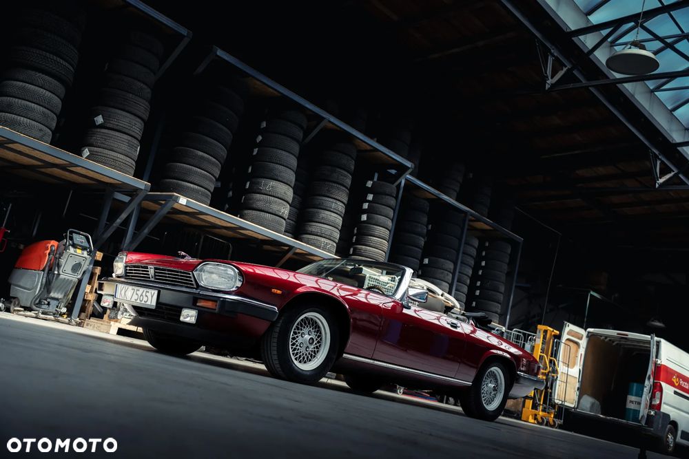 Jaguar XJS - 17